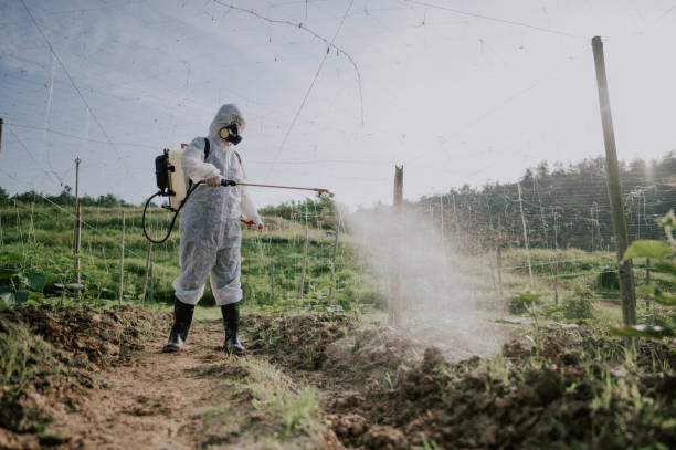 Best Mosquito Control Services  in Reidland, KY