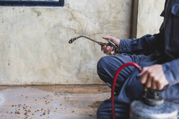 Best Affordable Pest Control Services  in Reidland, KY